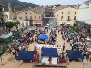 Fira del rellotge a sant feliu de codines foto 1