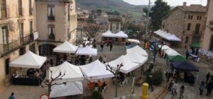 Fira del tio i mercat del trasto a moia foto 1 1