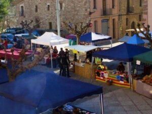 Fira del tio i mercat del trasto a moia foto 2 1