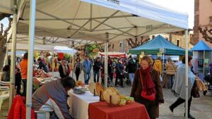 Fira del tio i mercat del trasto a moia foto 3 1