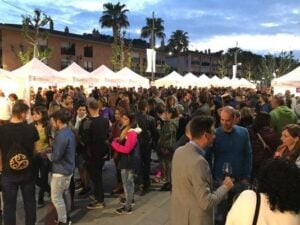 Fira del vi de sant andreu de la barca foto 3