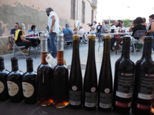 Fira del vimblanc a vinebre foto 1