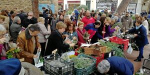 Fira dels sants metges a lloret foto 1