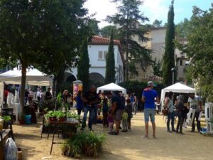 Fira dintercanvi de plantes a sant cugat foto 1