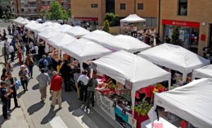 Fira i diada de la maduixa de sant cebria de vallalta foto 1