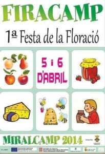 Firacamp a miralcamp cartell 2014