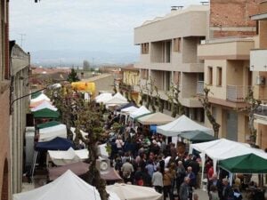 Firacamp a miralcamp foto 3