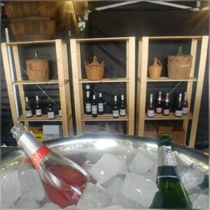 Firavirtual de vins i caves julilol 2020 13