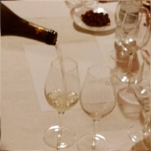 Firavirtual de vins i caves julilol 2020 14