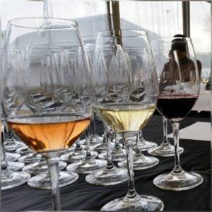 Firavirtual de vins i caves julilol 2020 15