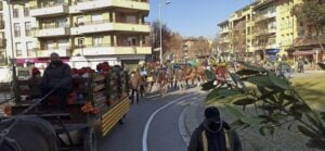 Fireta de sant antoni a manlleu foto 1