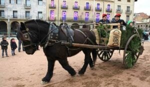 Fireta de sant antoni a manlleu foto 2