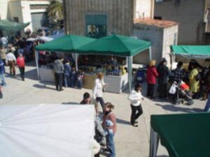 La fira de loli de godall foto 2