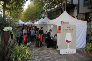 La gran festa del vi a igualada foto 1