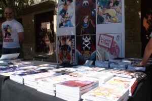 Matsuri de ponent foto 1