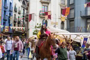 Mercadal del comte guifre a ripoll 3 1