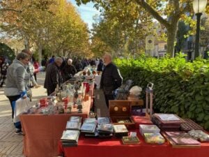 Mercat antiguitats
