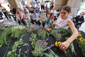 Mercat de les herbes de la ratafia a santa coloma de farners foto 3
