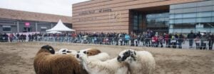 Mercat del ram a vic foto 2