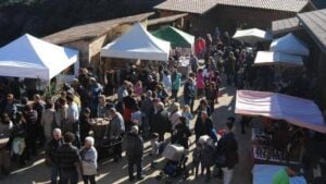 Mercat del trumfo i la sal a oden 3