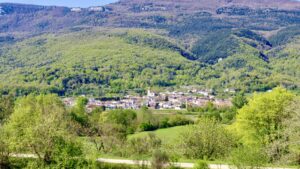 Mercat dolis i vins a les planes dhostoles foto 2