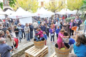 Mostra de vins daltura a la llacuna 1