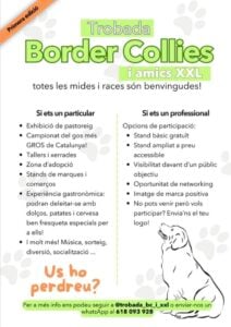 Trobada border collies i amics xxl cartell 2025 2