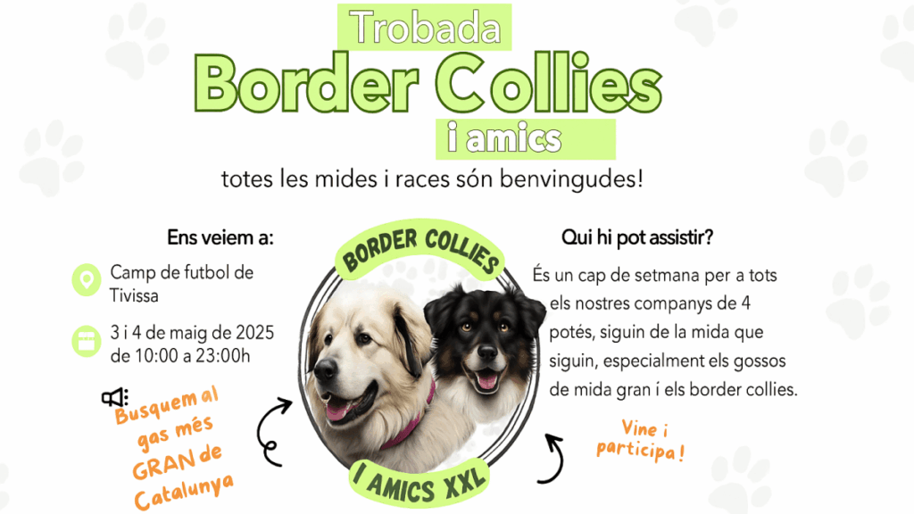 Trobada Border Collies i amics XXL