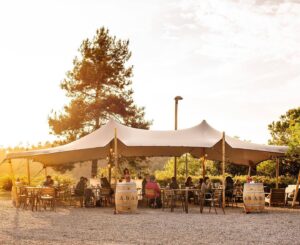 Vi ba fira del vi del bages a manresa foto 1