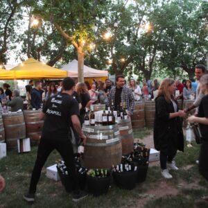 Vi ba fira del vi del bages a manresa foto 2