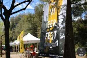 Vieer fest a puig reig foto 2