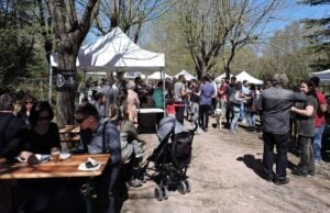 Vieer fest a puig reig foto 4