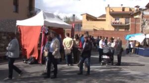 Castellfollit roca recorda passat diumenge 4a fira dels picapedrers