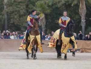 Castrum fidelis 142