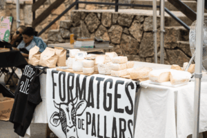 Fess rural vallfogona 6 1