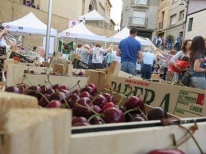 Festa de la cirera al papiol