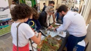 Fira agora ulldecona 1 1 1