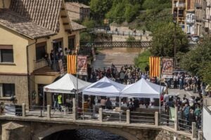 Fira bolets poble illet 1