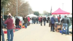Fira de les 2 i 4 rodes de fontcoberta foto 2