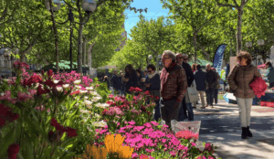 Fira de primavera olot foto 3