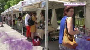 Fira dones artesanes sant hipolit foto 1