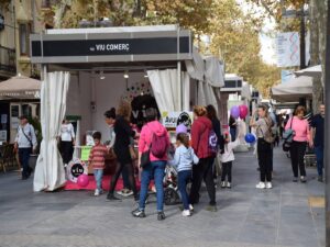 Fira novembre vilanova 2