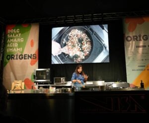 Fira origens olot 2 1