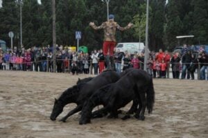 Fira sant andreu torroella 5