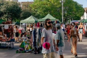 Flea sant cugat 2 1