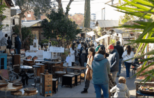 Flea sant cugat valles 1