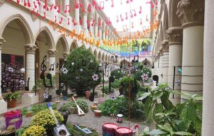 Flors i violes a palafrugell 1