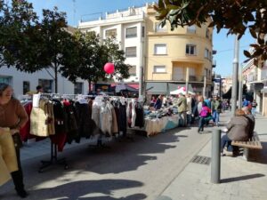 Foraestoc palamos 2 1