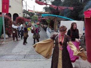 Fotos mercmedieval palausolita 2022 3