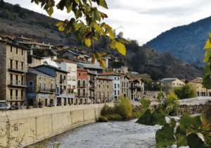 Martinet de cerdanya